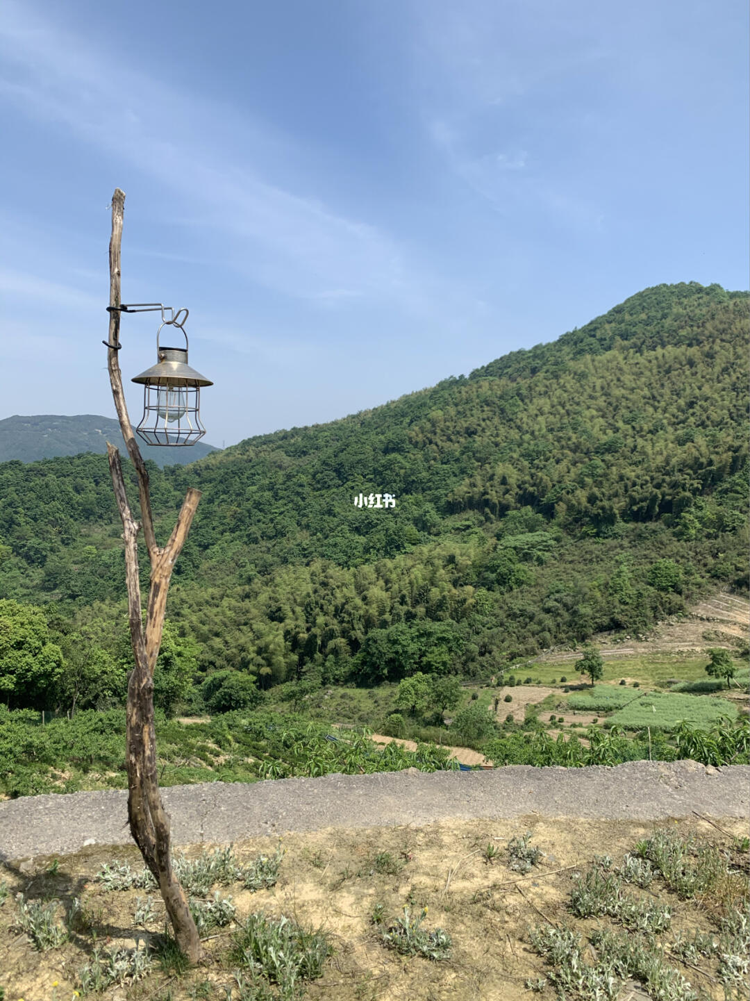 杭州野猪湾自然营地简介_解答解释落实