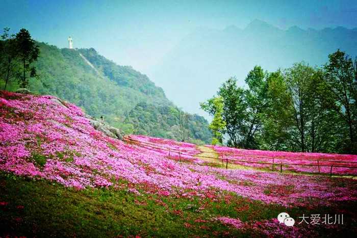 药王谷，探寻神秘的药王谷之旅_精准解释落实