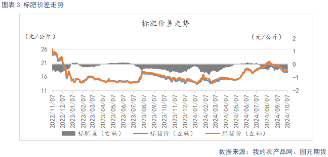 118开奖站一一澳门,逐步落实和执行_尊贵版42.602