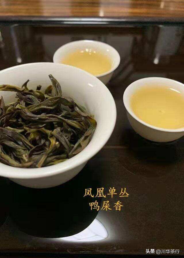 鸭屎香是浓茶吗？——探寻一种传统茶品的深度魅力_词语解释落实