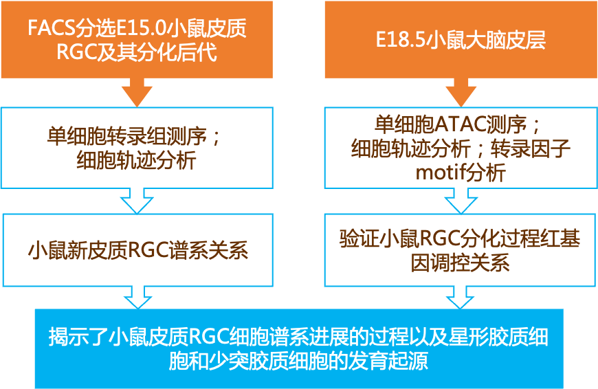 2024新奥精准正版资料,解释定义_MR33.798