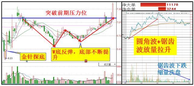 一码一肖一特一中,逐步落实和执行_W25.646