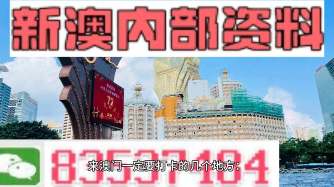 新澳2024年精准特马资料,反馈落实_优选版33.663