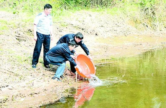 湖南“问题泥鳅”涉案金额逾7千万