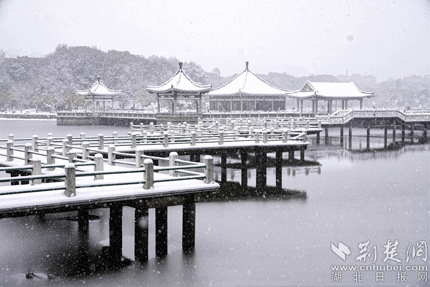 武汉下雪了吗？一场关于冬季的诗意探寻