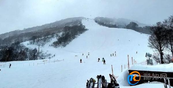 中国男游客在日本滑雪场遇难事件深度解析