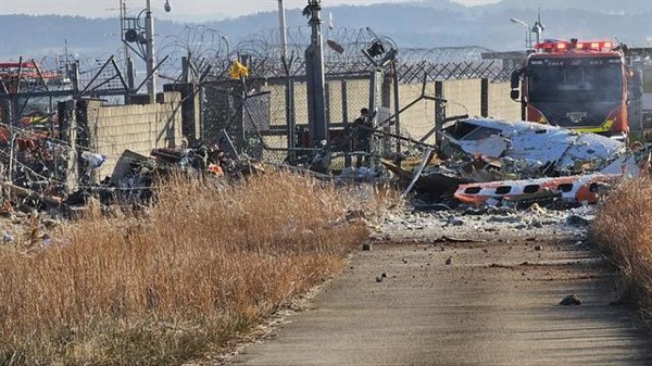 阿航空难因客机遭地面攻击