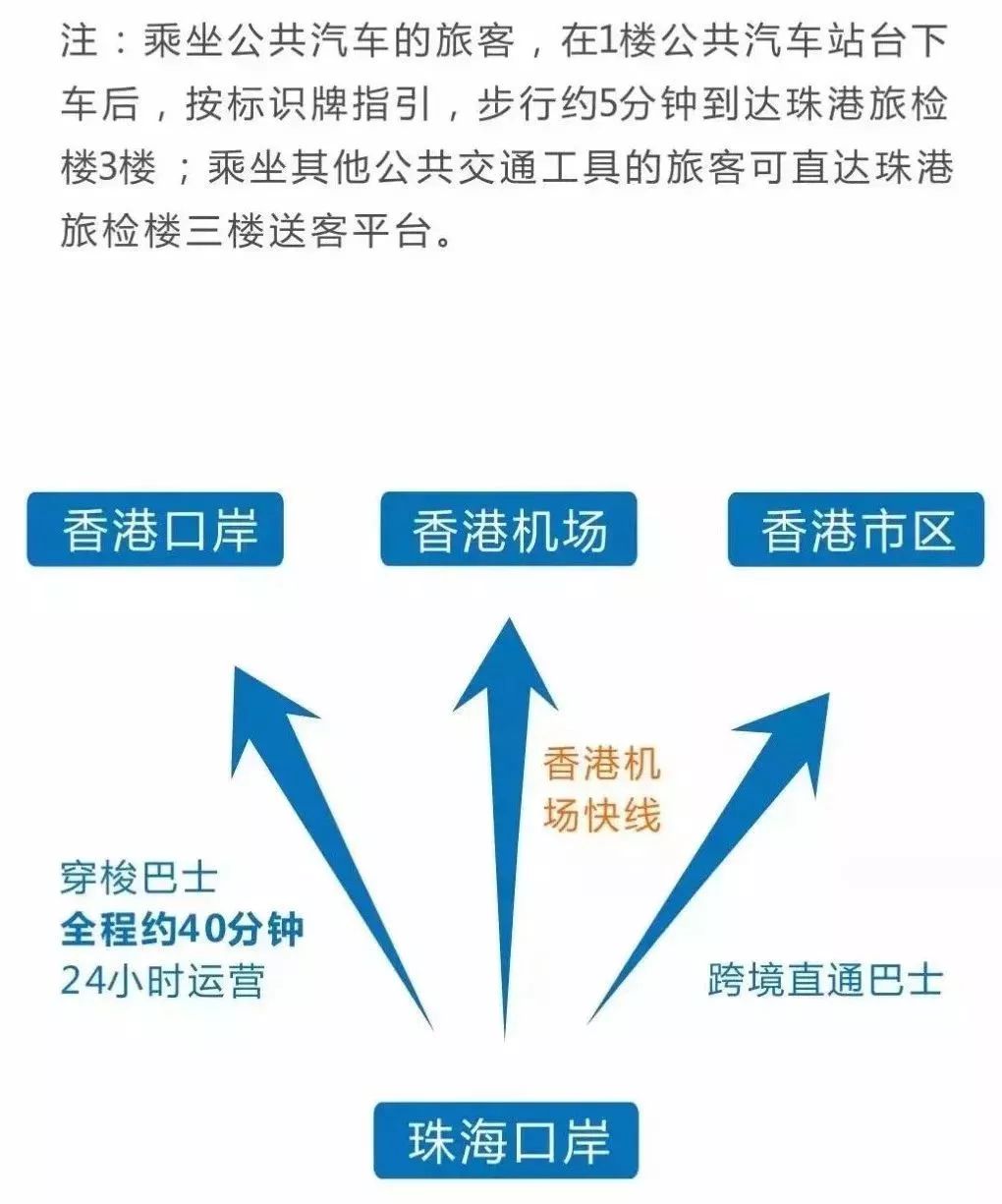 澳门4949最快开奖结果