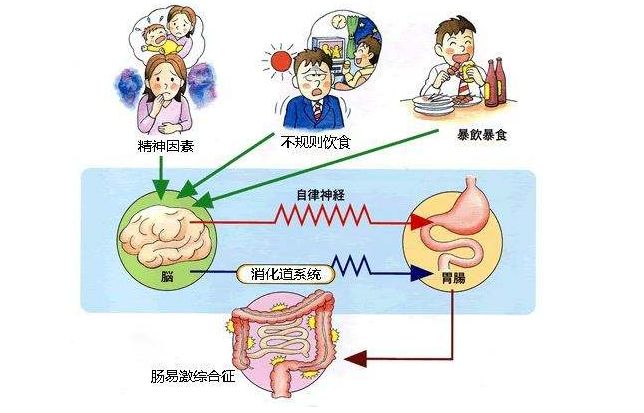 2024年12月 第14页