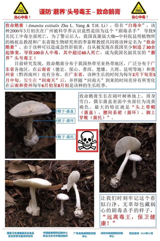 警惕新澳门精准四肖期期一一惕示背_精简版36.466——在生活中发现艺术的美