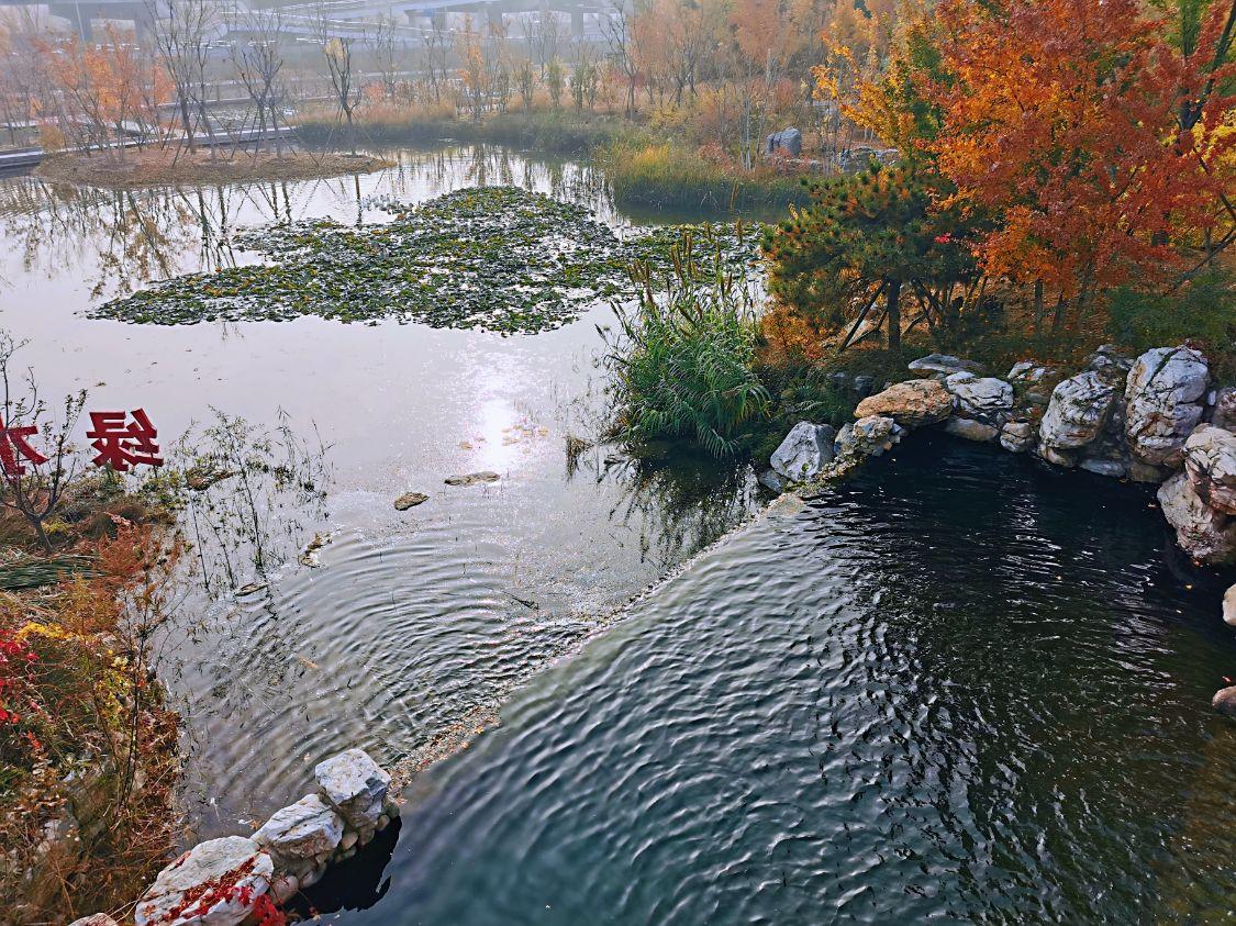 住在北京五环，一场现实与理想的碰撞