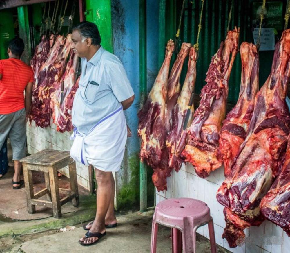 印度牛肉事件，一场文化、宗教与现实的碰撞