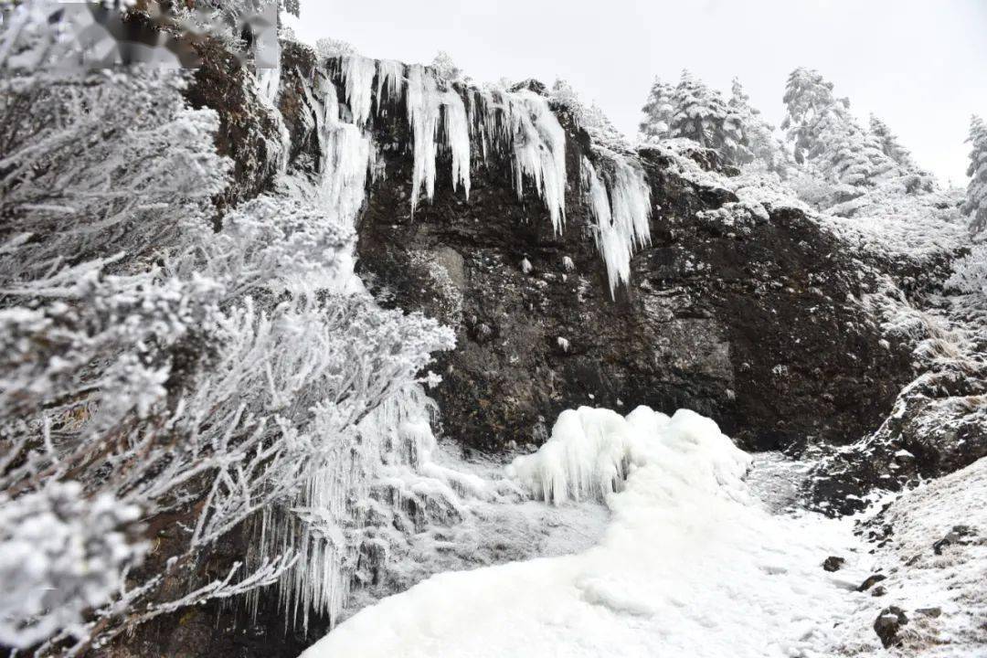 云南迎25年首场降雪，瑞雪兆丰年，银装素裹笑谈春意迟