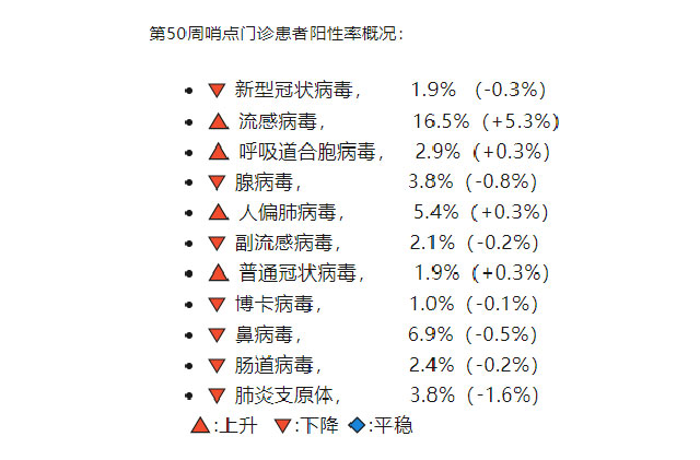 绽开的血滴 第2页