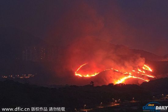 香港突发山火，深圳视角下的灾难与反思