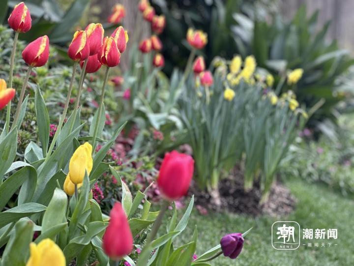 雨花泪 第10页