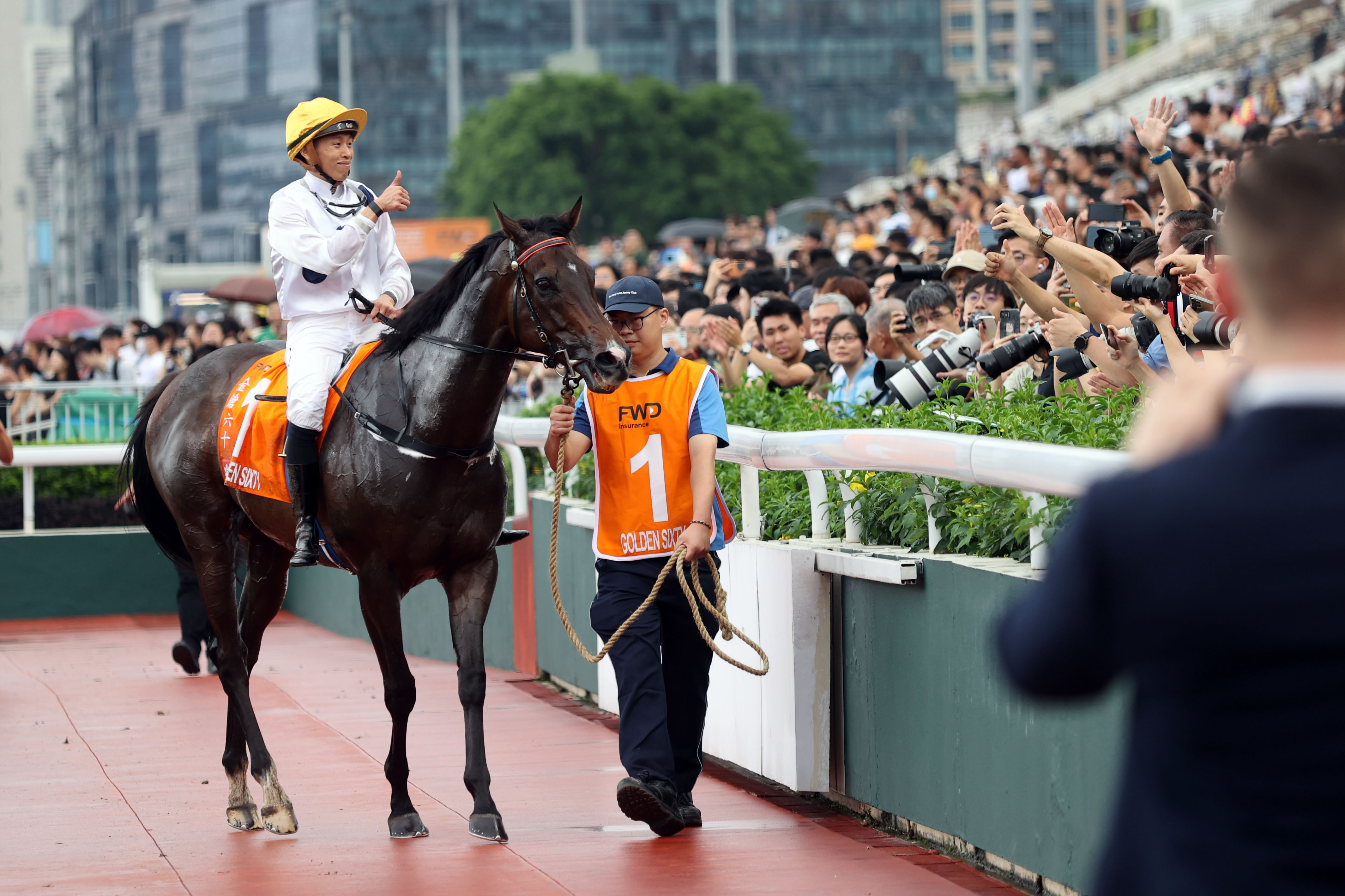 2024年香港赛马全年免费资料_钱包版53.163——资料解释