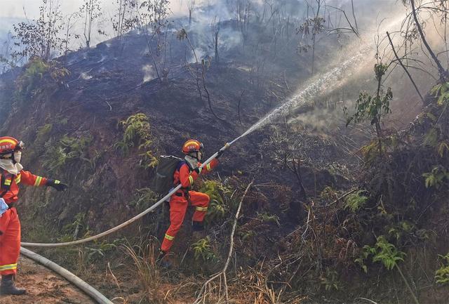 广东山火600人扑救