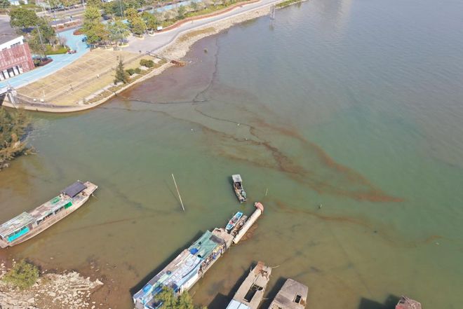 多地海边出现爆爆珠，一场意外的海洋狂欢