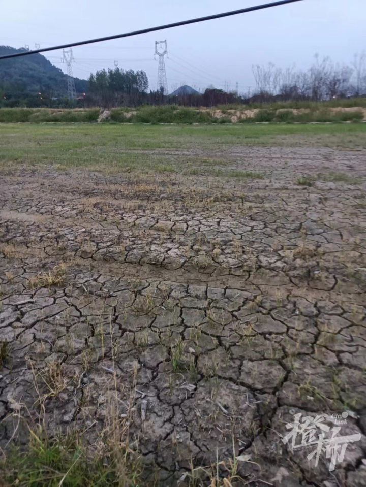 杭州等地遭遇重旱，挑战与反思