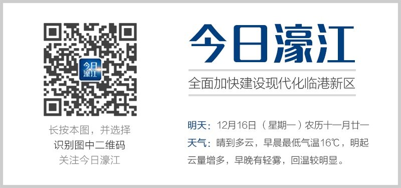 22324濠江论坛一肖一码效率解答解释落实,22324濠江论坛一肖一码_Elite39.116