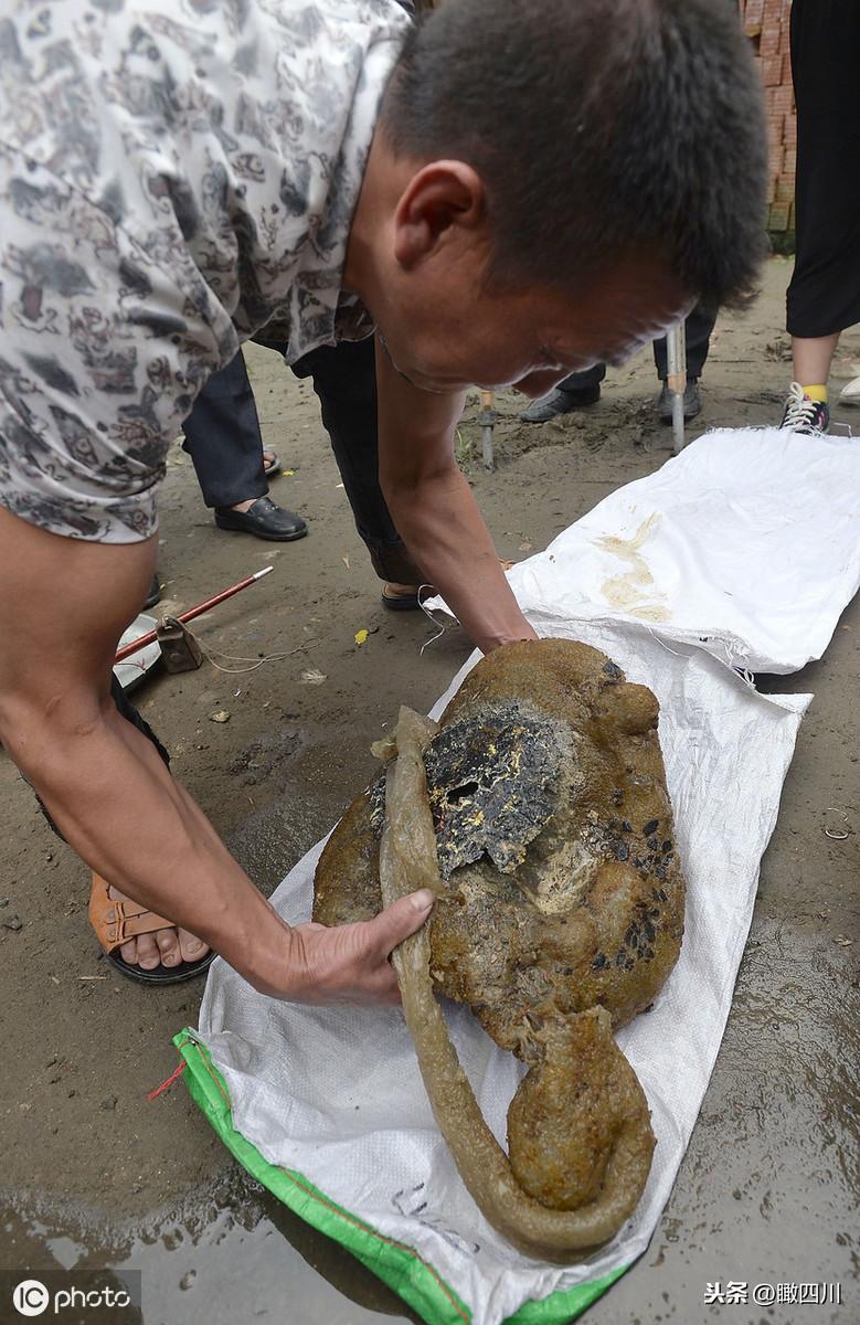 男子钓鱼钓到了自己