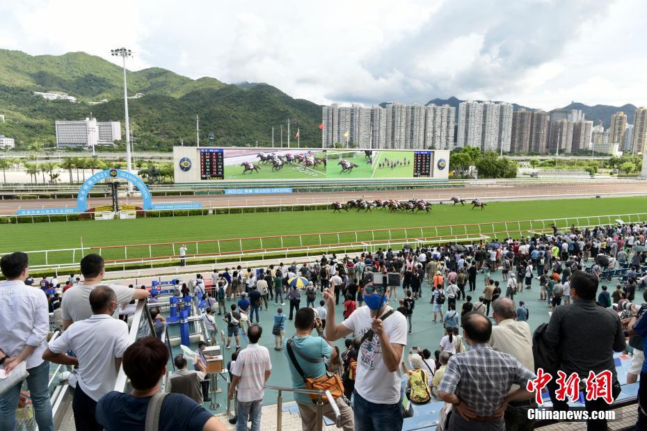 香港今晚开特马解答解释落实,香港今晚开特马_至尊版41.463