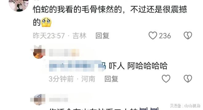 杨丽萍蛇舞，舞动的艺术，争议中的焦点