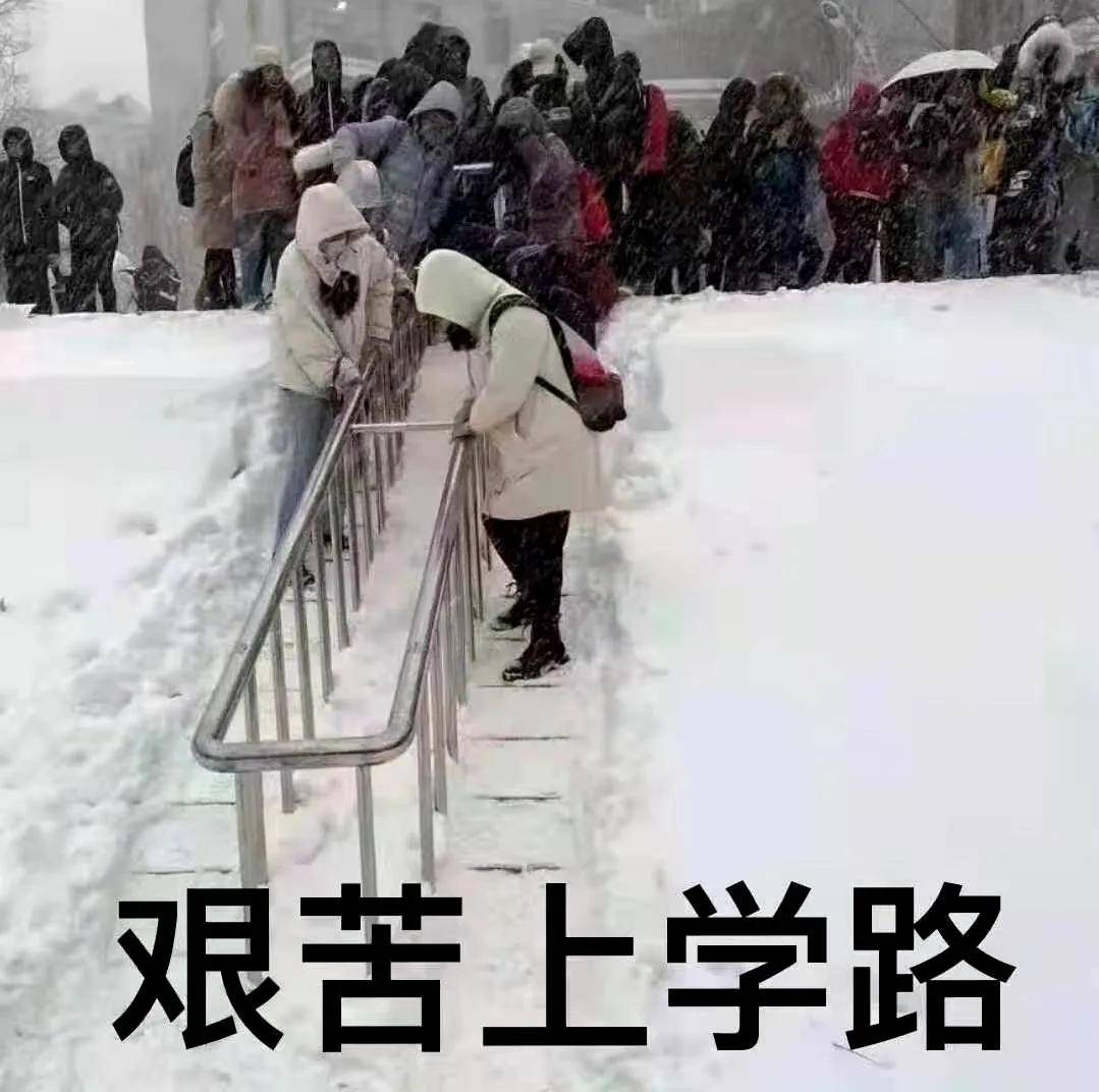 雪夜惊魂，大棚崩塌下的意外露脸