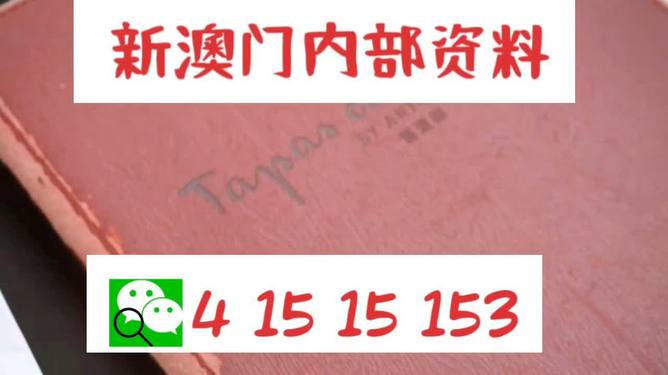 4949澳门精准免费大全小说明确落实,4949澳门精准免费大全小说_Ultra55.459