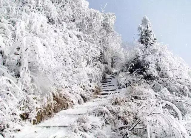 揭秘成都雪村真相，雪落何处？通报背后的真相究竟如何？