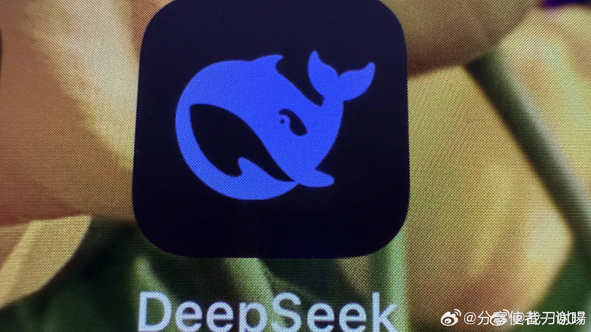 苹果为何弃选DeepSeek？揭秘背后真相！