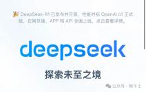 关于韩停DeepSeek下载的深度探究，最新动态与争议焦点