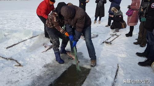 河流惊现大量林蛙死亡事件，生态悲剧的背后隐藏着什么？