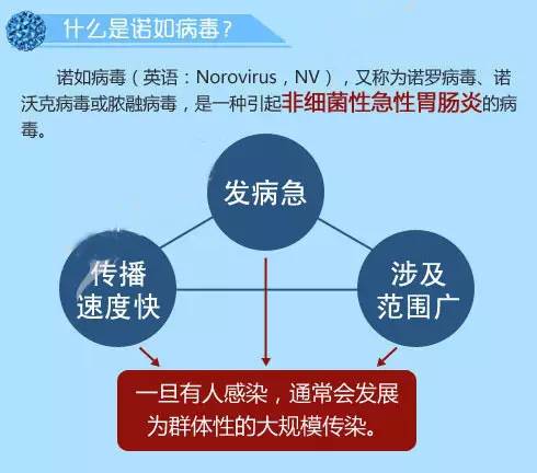 诺如病毒来袭，一家公司的崩溃背后，谁能逃过这场致命暴击？