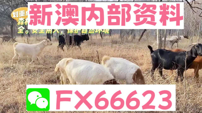 今晚揭晓！新澳2025开奖资料揭秘，是什么让你心跳加速？