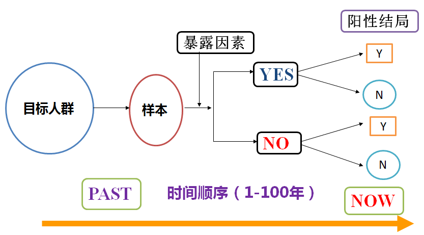 2025年天天开好彩资料揭秘！你绝对想不到的反馈与总结，Chromebook91.109竟然变革了这些！