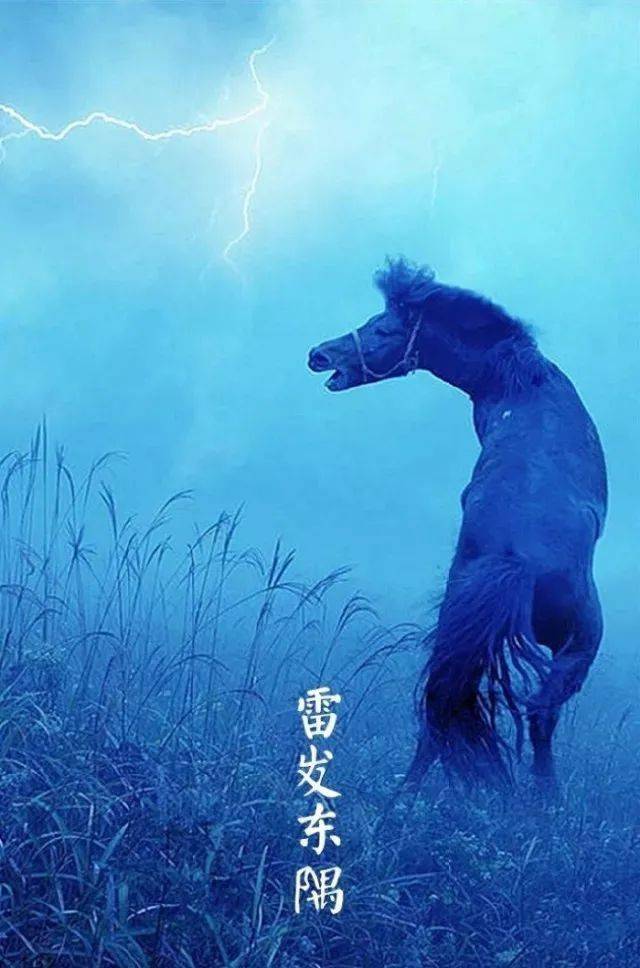 震撼！春雷乍响，万物复苏背后的惊天秘密！