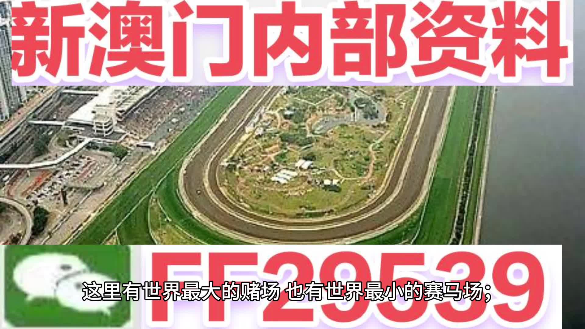 惊爆！2025澳门新奥生肖走势图揭秘，57.696挑战款能否逆袭？执行力与反馈实施成关键！