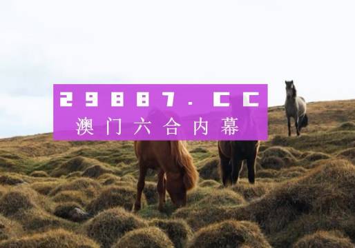 惊爆！新澳门开奖记录查询神器81.304桌面版上线，精准预测竟藏惊人玄机？