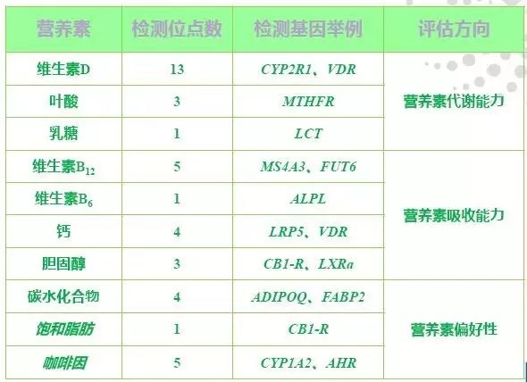 惊爆！王中王72396.cσm单双八尾查询揭秘，AR85.28背后竟藏惊天玄机！