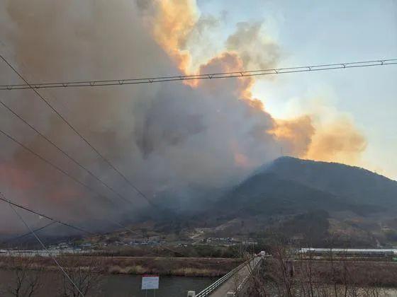 震惊！韩国多地突陷灾难状态，背后真相令人不寒而栗！